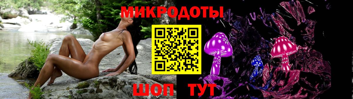 Псилоцибиновые грибы GOLDEN TEACHER Елизово